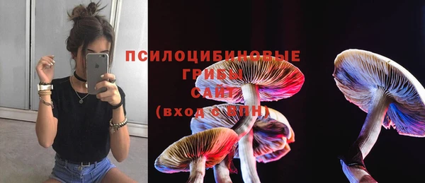 бутират Билибино