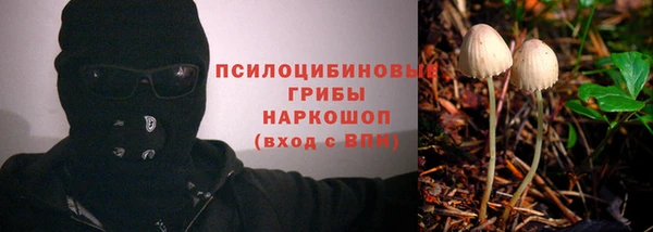 MDMA Новодвинск