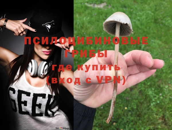 MDMA Новодвинск