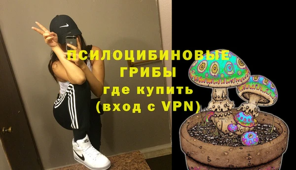 Альфа ПВП Новокубанск