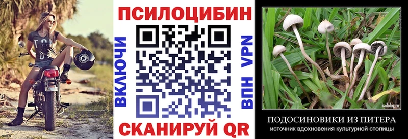 KRAKEN ТОР  Шилка  Галлюциногенные грибы Cubensis 